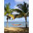 Barbados Double Hammock-36120861