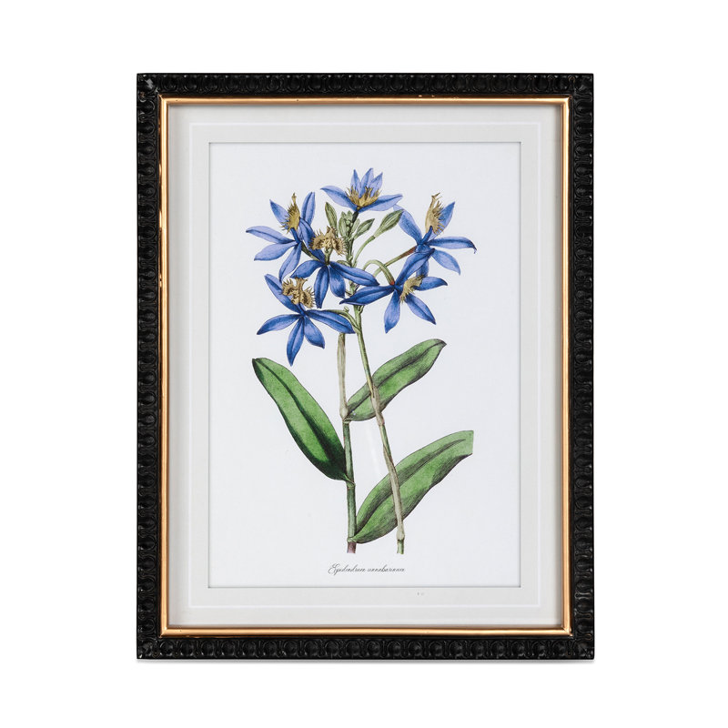Summer Flower Framed Prints