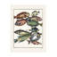 Art picturé sur toile par J V Schley-103094786