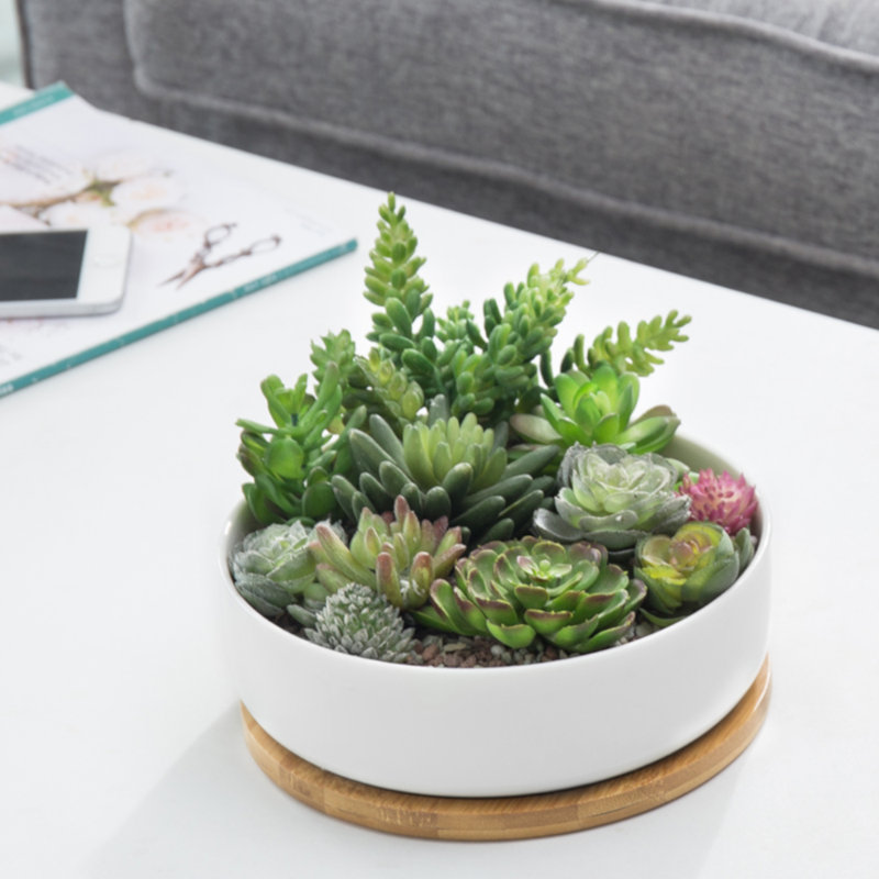 Pot Planter