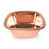 Shiny Copper selected