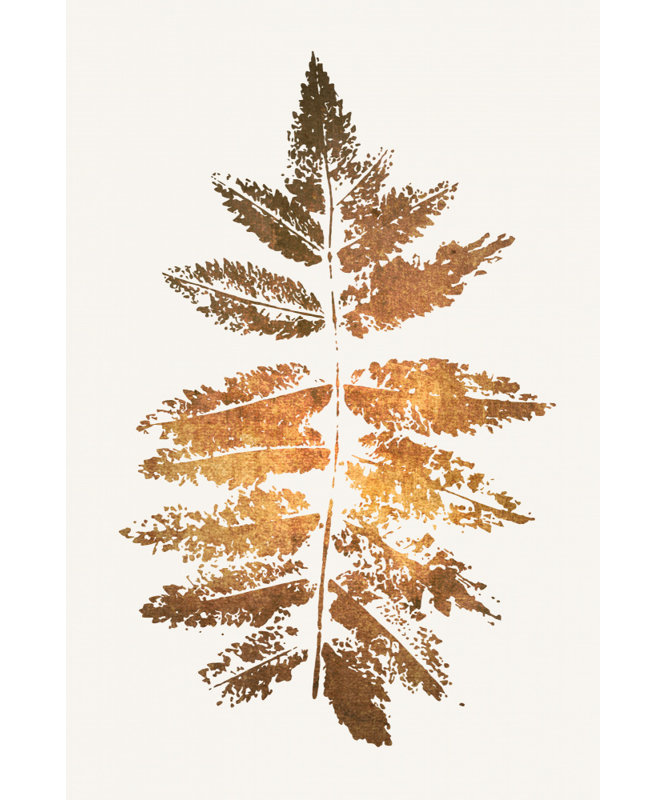Wrapped Canvas Print, 50.8 cm H x 76.2 cm W