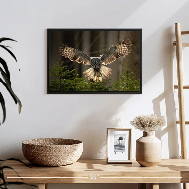 Brampt Flying Owl, 13" H x 19" W