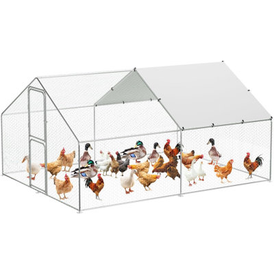 Chicken Coop