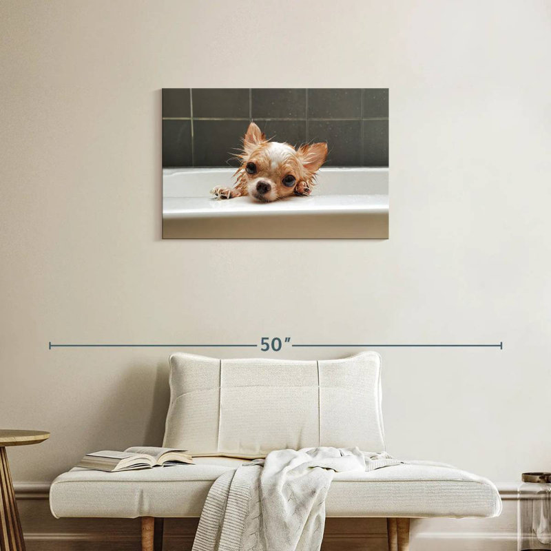 Brampt Chihuahua Bathing