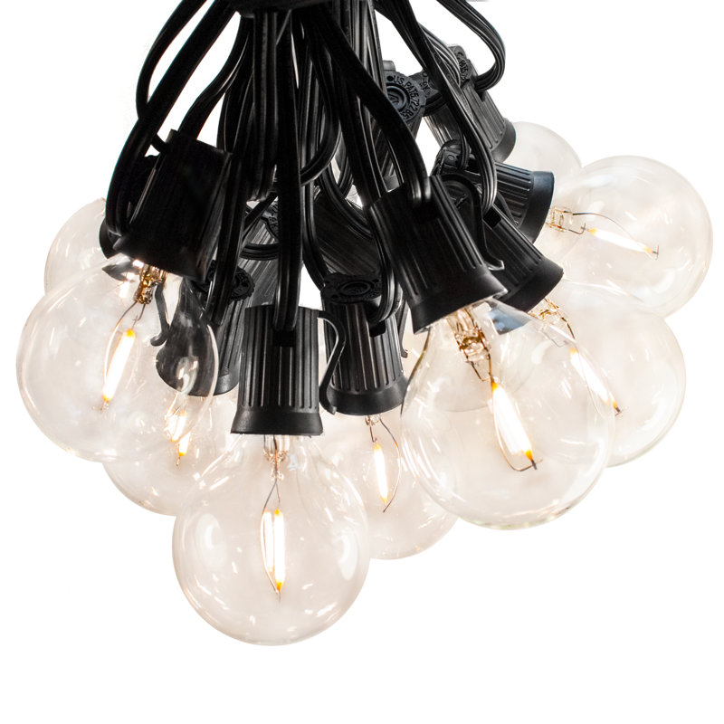 Hinds Outdoor Plug-in Globe String Light, Black Wire, G40, 1200" L