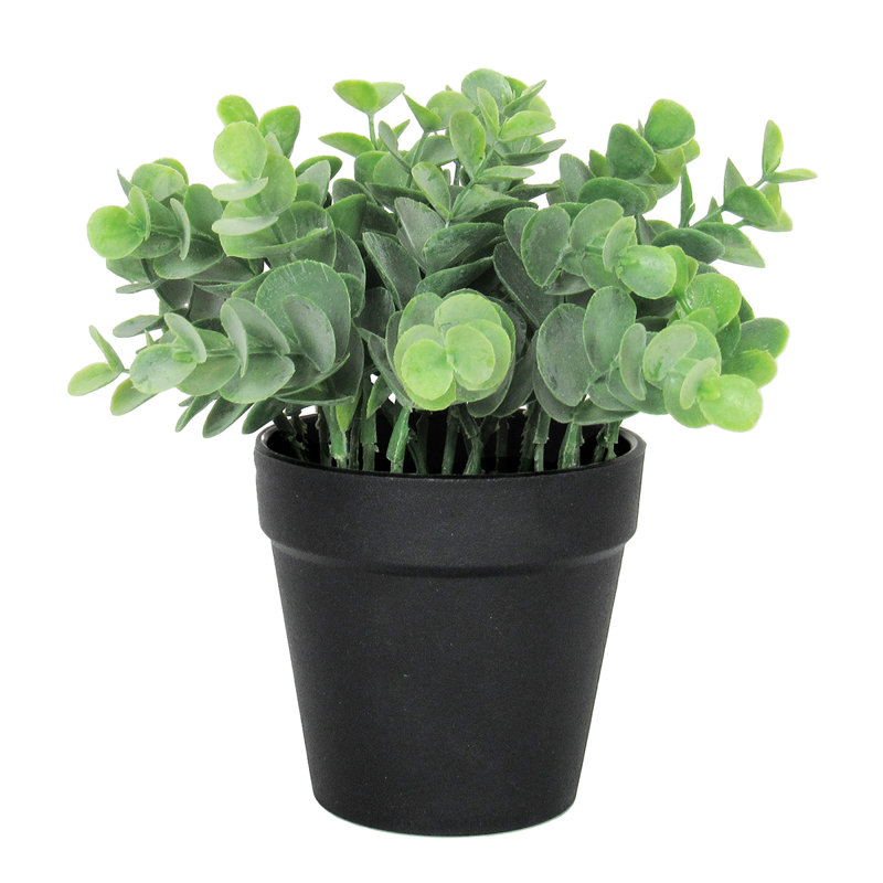 Eucalyptus artificiel 3,5 po en pot, Noir