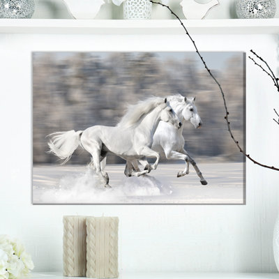 Animal White Horses Canvas Graphic Art - Two White Horse