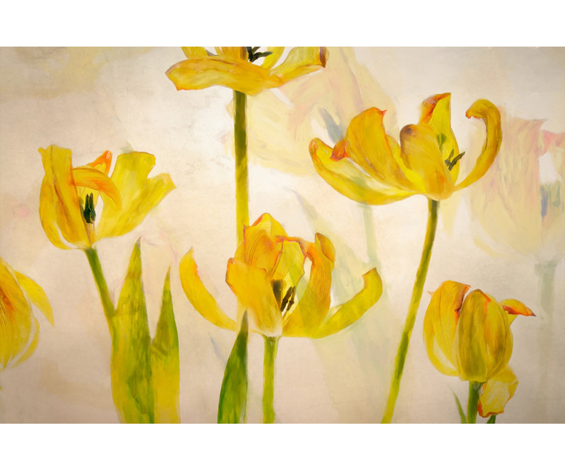 Wrapped Canvas Print, 60.96 cm H x 91.44 cm W