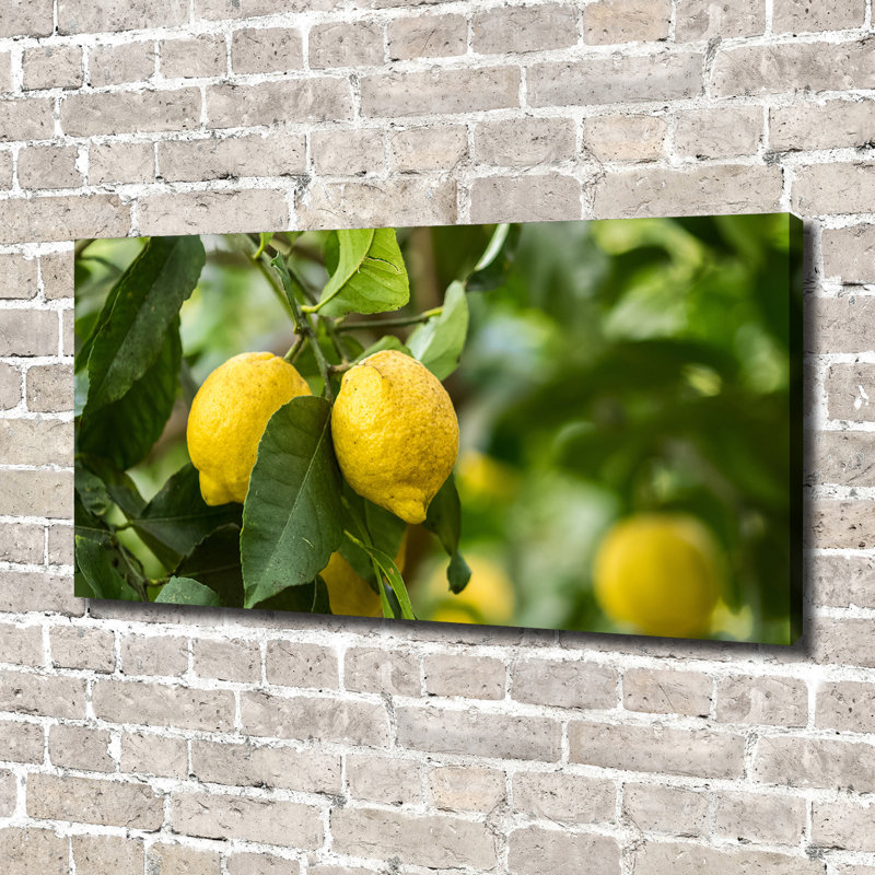 Lemons On The Tree - No Frame Print on Glass, Canvas, 70cm H x 140cm W x 2cm D