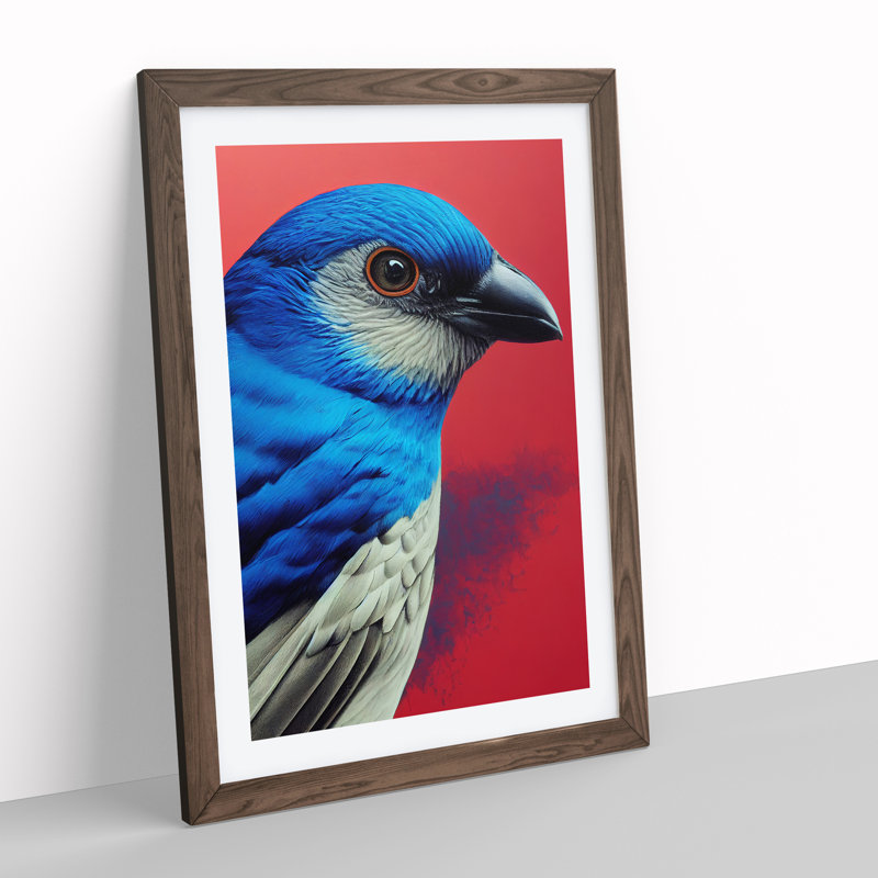 Splendid Bird - Wall Art, 34cm H x 25cm W x 2cm D, Walnut Framed