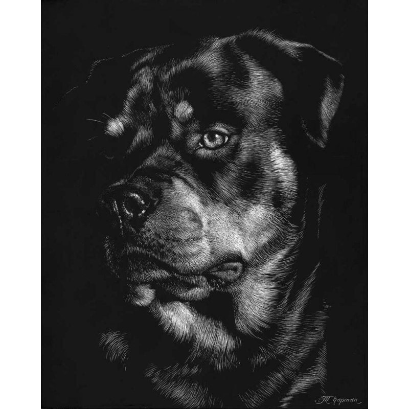 «Red Barrel Studio®» par Chapman, Julie T., art sur toile tendue sous le titre Canine Scratchboard, H 34 po x l 28 po