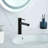 Bathroom Faucet with Drain Assembly-111467597