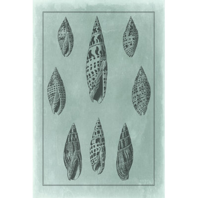 Spa Shell Collection IV