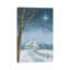 Shining Holiday Star by James Redding - Wrapped Canvas Print-321754598