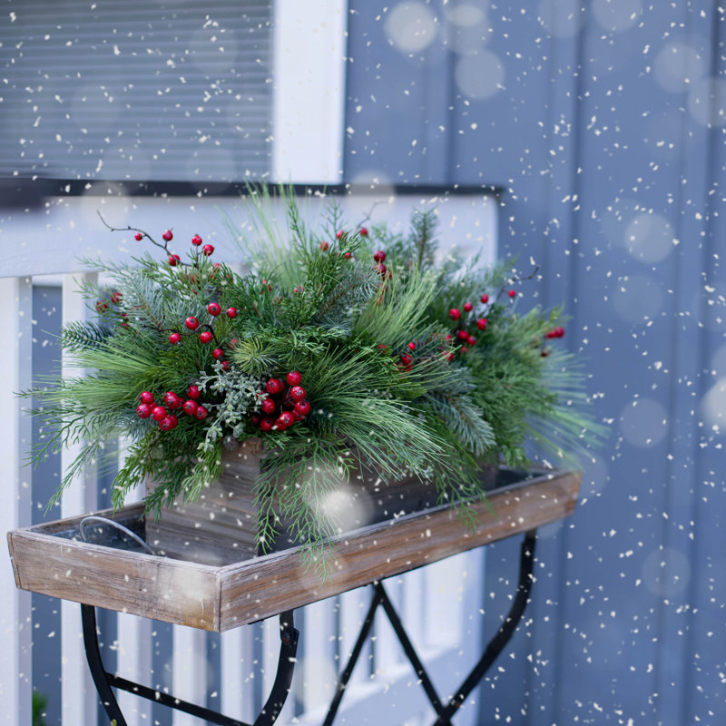 Arrangements floraux en pot