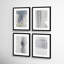 Gray On Gray Set Of 4 by Jacques Pilon-69944550-69944551