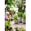 Plant Pot-72816960-72816962