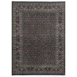Wool Oriental Area Rug