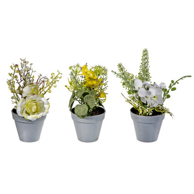 Mixed Arrangement in Pot