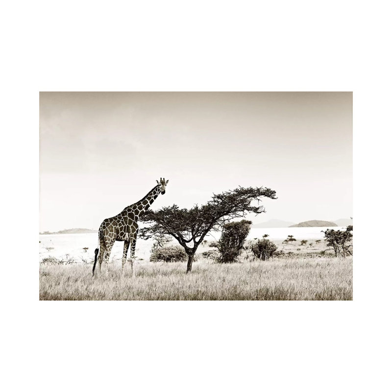 Solitary Giraffe by Klaus Tiedge - Wrapped Canvas Print, 66.04 cm H x 45.72 cm W x 3.175 cm D