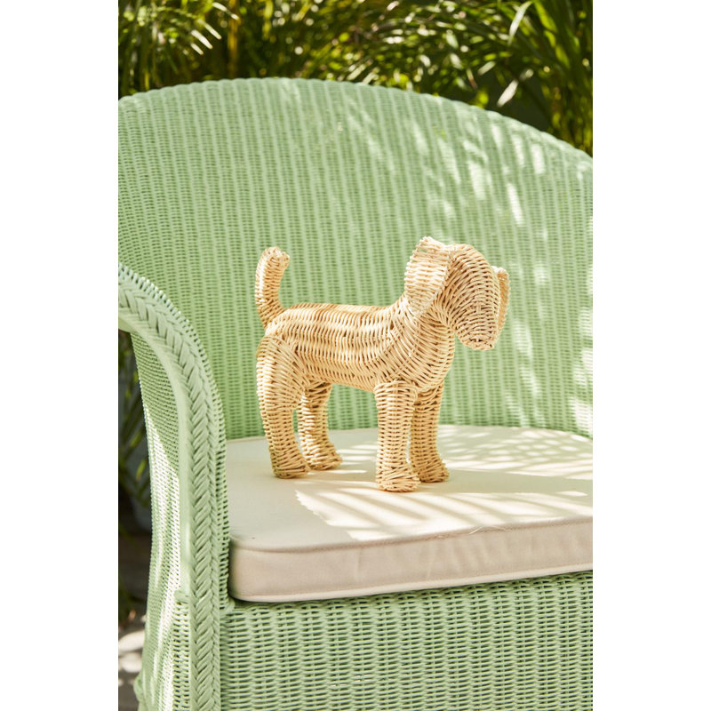 Amanda Lindroth Little Potcake