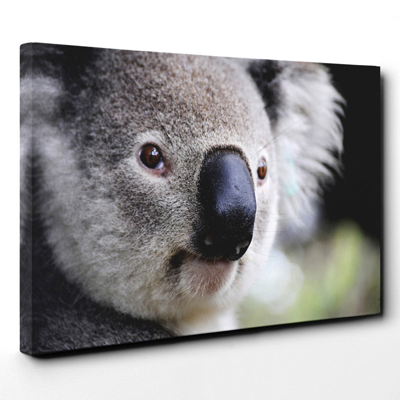 Wrapped Canvas Print, 50cm H x 76cm W