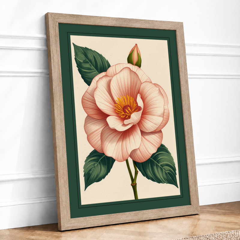 Camellia In Bloom Botanical - Print, Oak, A3 - 42.0 x 29.7 cm