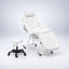 Ensemble de fauteuil inclinable réglable pour salon de tatouage, spa et soins du visage avec 2 plateaux - Blanc/Manuel-1425246141-1529925100