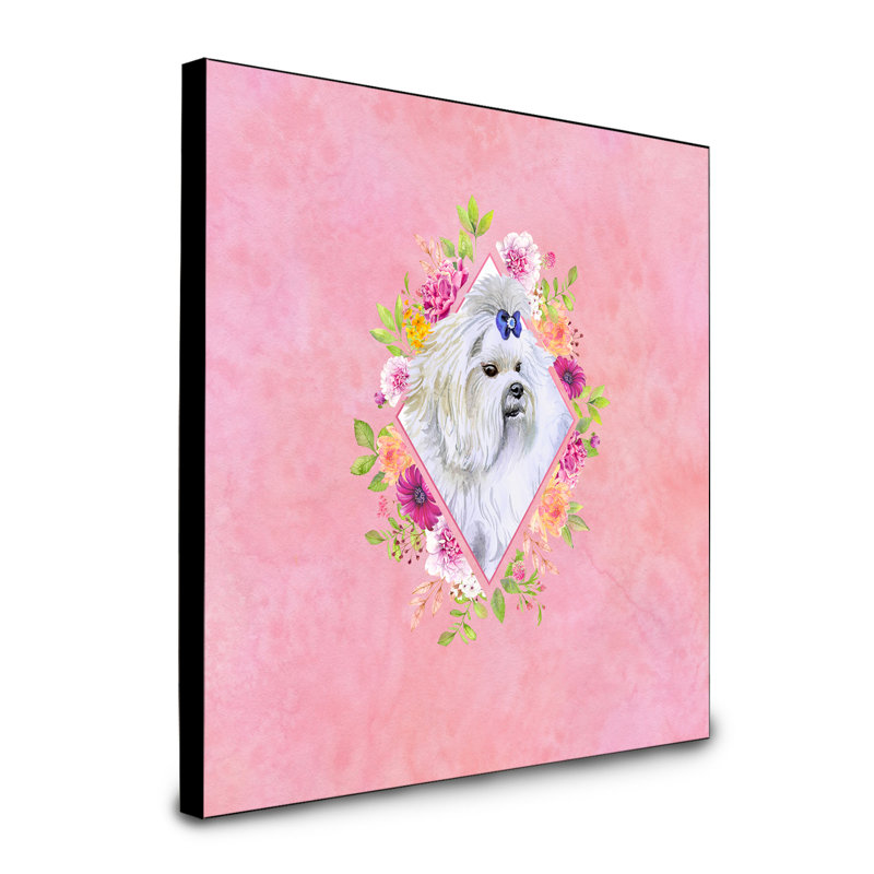 Panneau mural Dollman Flowers, Rose, Maltais gris
