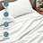 Queen Sheet Set - Luxury 1800-Soft Microfiber Bed Sheets - Double Brushed - Deep Pockets - Easy Fit - 4 Piece Set - Bedding Sheets & Pillowcases-120593936