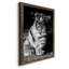 Tiger Repose - photographie avec cadre photo sur toile-798844131-798844132