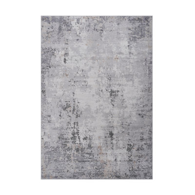 Collection Non-Shedding Living Room Bedroom Dining Home Office Stylish And Stain Resistant Area Rug
