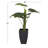 27 " H Faux Palm Tree in Resin Pot