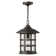 Freeport 1 -Bulb 14" H Outdoor Hanging Lantern