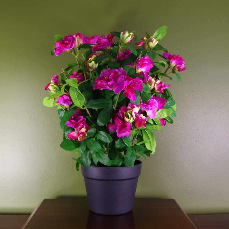 Ansa 50cm Faux Tree in Pot