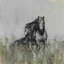 Dark Horse At The Meadow by Parvez Taj - Wrapped Canvas Print-36743791
