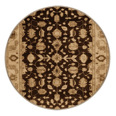 Machine Washable Overdyed Brown Area Rug