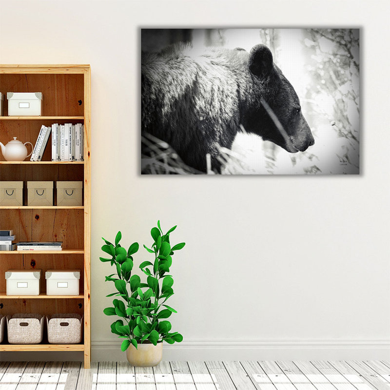 Ours émergent noir et blanc - reproduction d'art sur toile, H 40 po x l 60 po