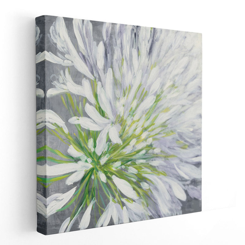 Cleome Splash II - reproduction d'art sur toile, H 16 po x l 16 po
