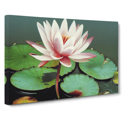 Serene Water Lily - Wrapped Canvas