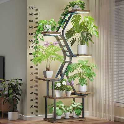 Plant Stand - Set of 8