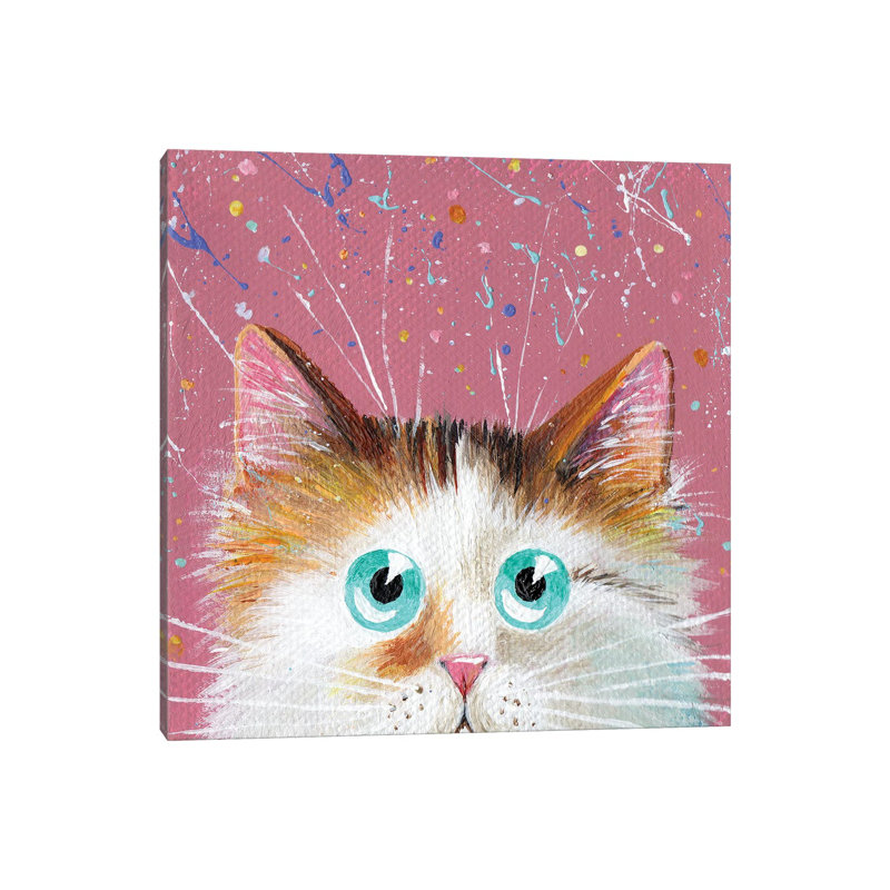 Peeping Tortie On Splattered Pink by Kim Haskins - Wrapped Canvas Print, 30.48 cm H x 30.48 cm W