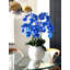 Phalaenopsis Orchid Floral Arrangement in Pot-1766237180
