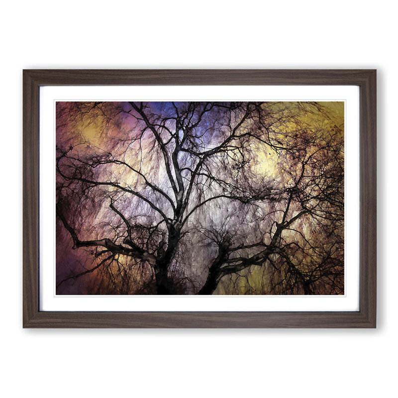 Weeping Willow Tree in Abstract - Picture Frame Graphic Art Print, Walnut, 40cm H x 60cm W x 2cm D