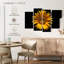 Harnek tournesol sur fond noir-107504524