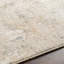 Oriental Area Rug-886200755