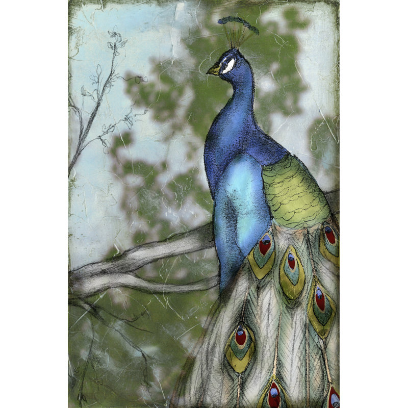 Peacock Reflections I, H 36 po x l 24 po x P 1 po