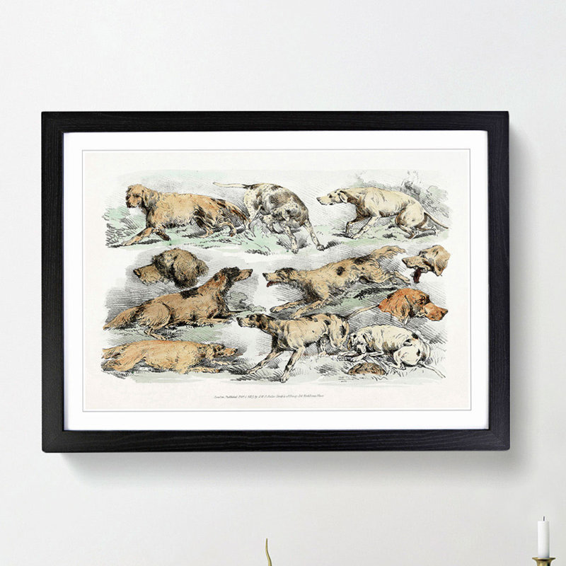 Illustration of Hounds by Henry Alken - Picture Frame Painting Print, Black Framed, 36cm H x 48cm W x 2cm D