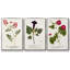 Lodge Pun I - Ensemble de 3 reproductions encadrées sur toile-1977993623-1977993624